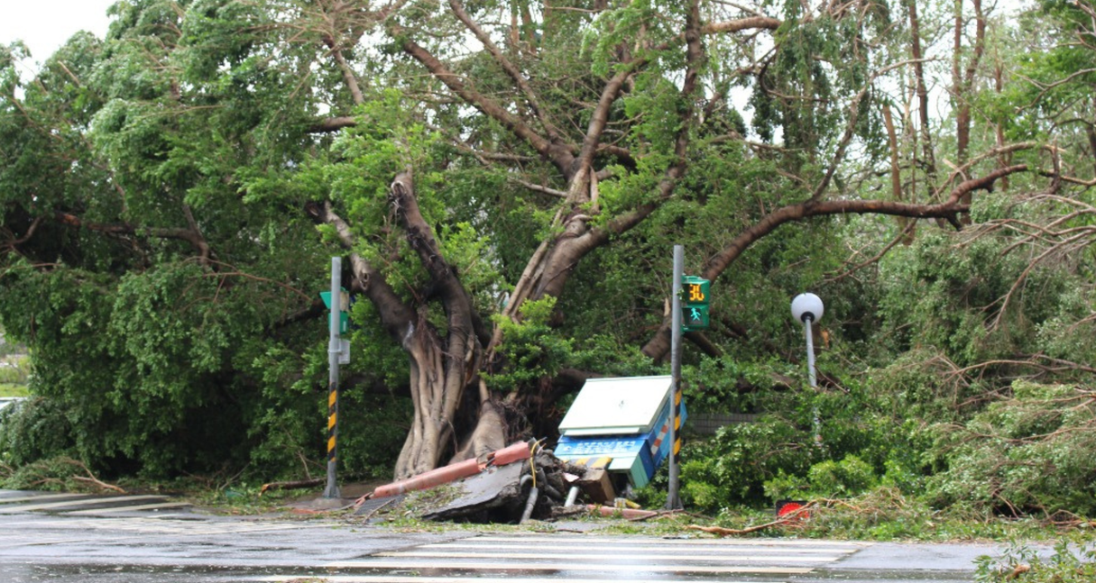 防災用電池：保障安全的關鍵，應對颱風與地震