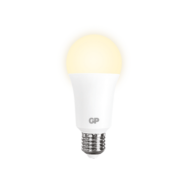 LED 環保高效能球泡燈